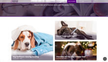 News and articles view page